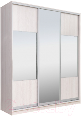 Шкаф Рэйгрупп 203450 YYX Elgon РГ-08.06 - фото