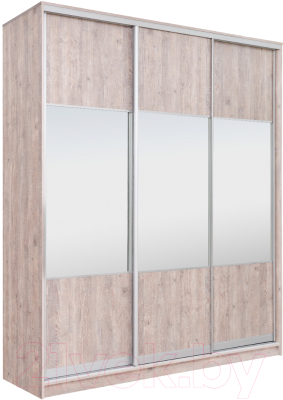 Шкаф Рэйгрупп 203450 SSX Elgon РГ-08.01 - фото