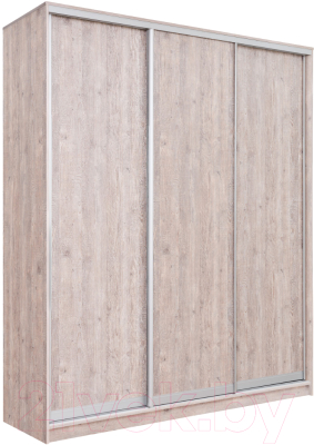 Шкаф Рэйгрупп 176450 SSX Elgon РГ-09.03 - фото