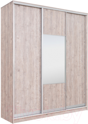 Шкаф Рэйгрупп 203450 SSX Elgon РГ-08.05 - фото