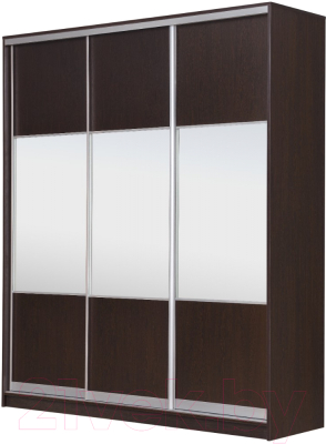 Шкаф Рэйгрупп 203450 VVX Elgon РГ-08.01 - фото