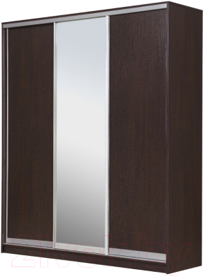 Шкаф Рэйгрупп 176450 VVX Elgon РГ-09.02 - фото