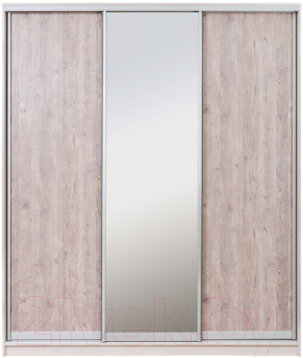 Шкаф Рэйгрупп 203450 YSX Elgon РГ-08.02