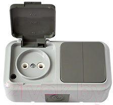 Блок выключатель+розетка Bylectrica Пралеска Аква 2В-РЦ-655 - фото