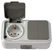 Блок выключатель+розетка Bylectrica Пралеска Аква 2В-РЦ-659 - фото