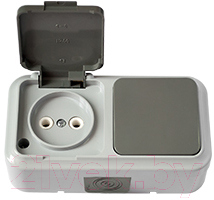 Блок выключатель+розетка Bylectrica Пралеска Аква В-РЦ-653 - фото