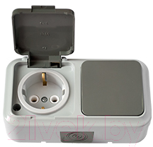 Блок выключатель+розетка Bylectrica Пралеска Аква В-РЦ-657 - фото