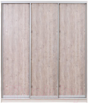 Шкаф-купе Рэйгрупп 176450 YSX Elgon РГ-09.03