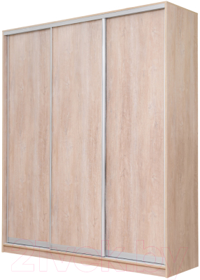 Шкаф-купе Рэйгрупп 176450 TTX Elgon РГ-03.03 - фото