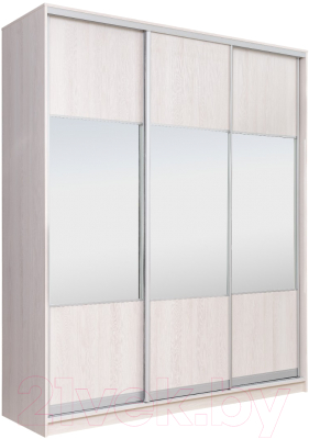 Шкаф Рэйгрупп 203450 YYX Elgon РГ-02.01 - фото