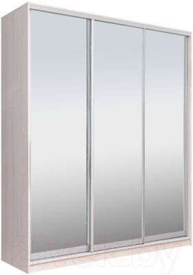 Шкаф Рэйгрупп 233450 YYX Elgon РГ-01.04 - фото