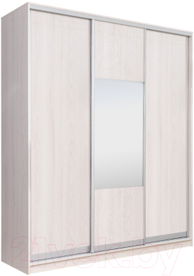 Шкаф Рэйгрупп 233450 YYX Elgon РГ-01.05 - фото