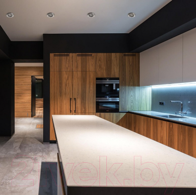 Точечный светильник Arte Lamp Praktisch A1203PL-1CC