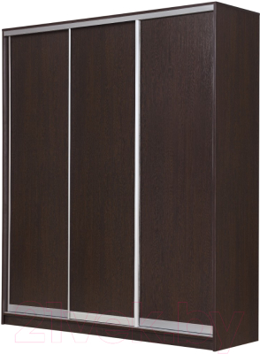 Шкаф Рэйгрупп 203450 VVX Elgon РГ-02.03 - фото