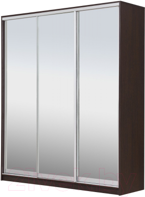 Шкаф-купе Рэйгрупп 233450 VVX Elgon РГ-01.04 - фото