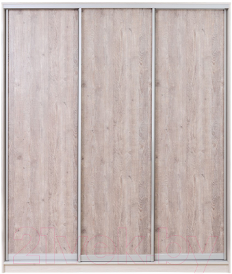 Шкаф Рэйгрупп 203450 YSX Elgon РГ-02.03 - фото