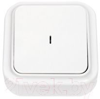 Выключатель Bylectrica Пралеска А1 10-214 - фото