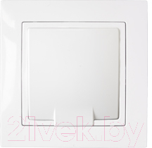 Розетка Bylectrica Уют РС16-367 - фото