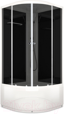 Душевая кабина Domani-Spa Delight 110 High / DS01D110HBT00 (черный/тонированное стекло) - фото