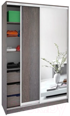 Шкаф Кортекс-мебель Сенатор ШК10-45 Классика ДСП с зеркалом - фото