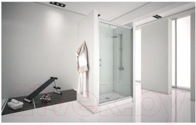 Душевая дверь Aquanet Alfa 120 / NAA6121 (прозрачное стекло)