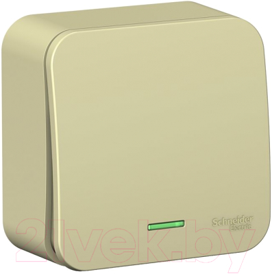 Выключатель Schneider Electric Blanca BLNVA101117 - фото