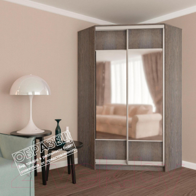 Шкаф-купе Кортекс-мебель Сенатор ШК30 Геометрия ДСП с зеркалом (белый)