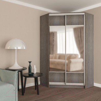 Шкаф Кортекс-мебель Сенатор ШК30 Геометрия ДСП с зеркалом