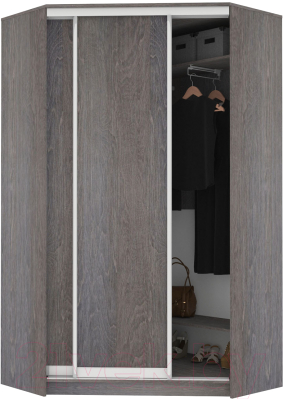 Шкаф Кортекс-мебель Сенатор ШК30 Классика ДСП - фото