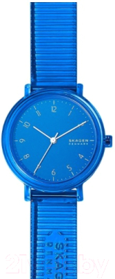 Часы наручные женские Skagen SKW2855 - фото