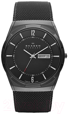 Часы наручные мужские Skagen SKW6006 - фото