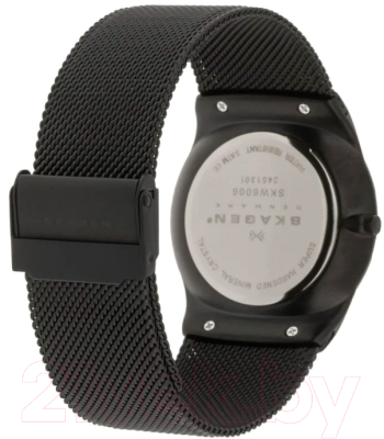 Часы наручные мужские Skagen SKW6006
