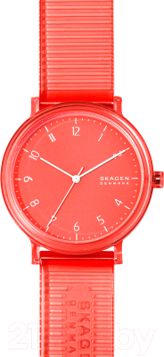 Часы наручные мужские Skagen SKW6603 - фото