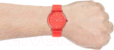 Часы наручные мужские Skagen SKW6603