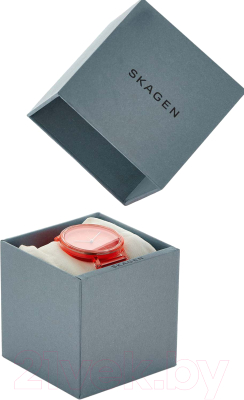 Часы наручные мужские Skagen SKW6603