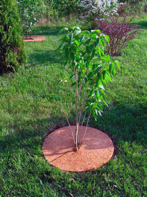 Укрывной материал No Brand Мульчаграм. Круг приствольный