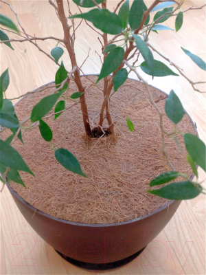 Укрывной материал No Brand Мульчаграм. Круг приствольный