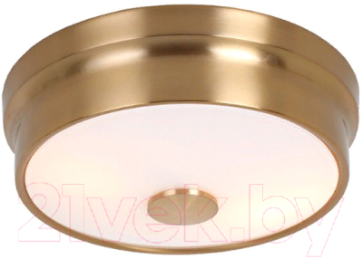 Потолочный светильник FAVOURITE Pannikin 2375-2C - фото