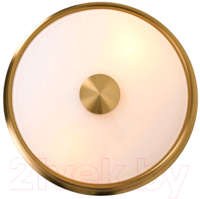 Потолочный светильник FAVOURITE Pannikin 2375-2C