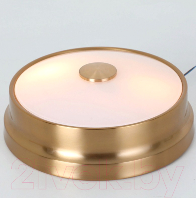 Потолочный светильник FAVOURITE Pannikin 2375-2C