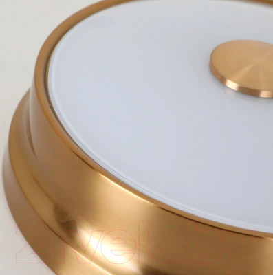 Потолочный светильник FAVOURITE Pannikin 2375-2C