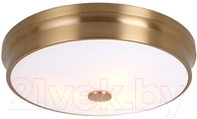 Потолочный светильник FAVOURITE Pannikin 2375-3C - фото