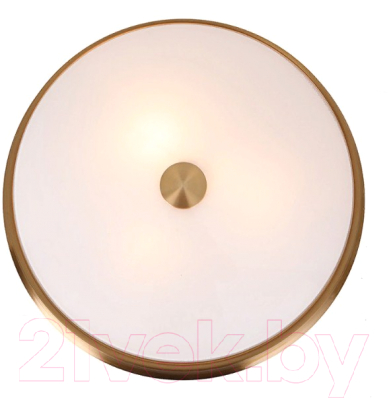 Потолочный светильник FAVOURITE Pannikin 2375-3C