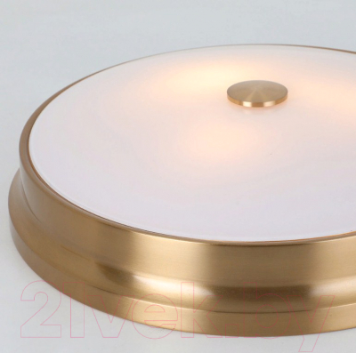 Потолочный светильник FAVOURITE Pannikin 2375-3C