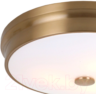 Потолочный светильник FAVOURITE Pannikin 2375-3C