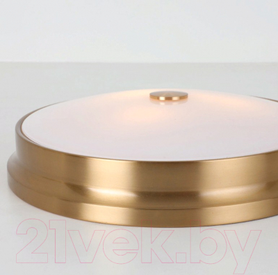 Потолочный светильник FAVOURITE Pannikin 2375-3C