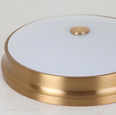 Потолочный светильник FAVOURITE Pannikin 2375-3C