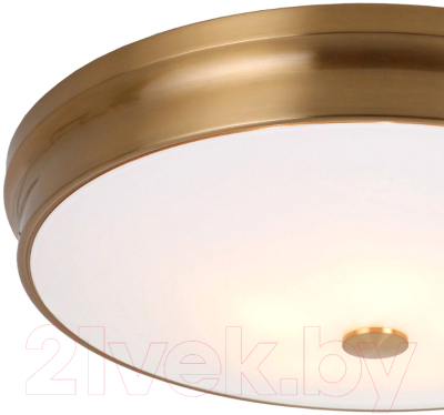 Потолочный светильник FAVOURITE Pannikin 2375-5C