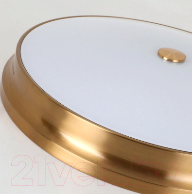 Потолочный светильник FAVOURITE Pannikin 2375-5C