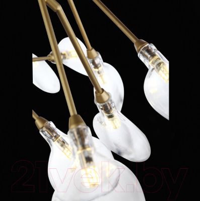 Люстра ST Luce Riccardo SL411.203.45